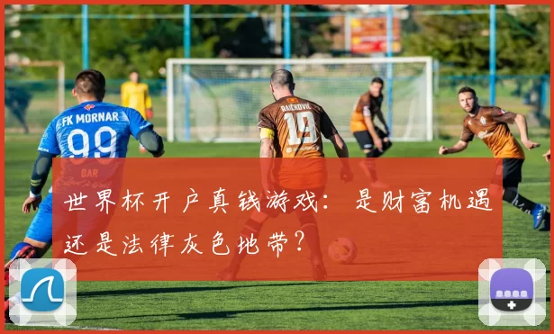 世界杯开户真钱游戏:是财富机遇还是法律灰色地带?