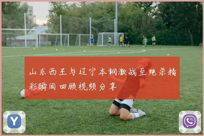 山东西王与辽宁本钢激战至绝杀精彩瞬间回顾视频分享