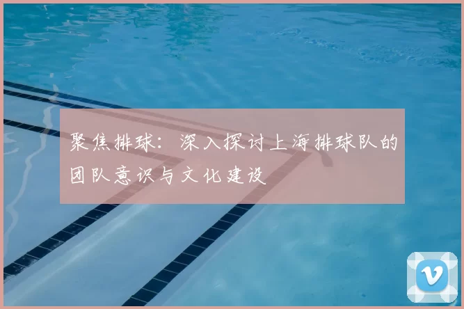 聚焦排球：深入探讨上海排球队的团队意识与文化建设