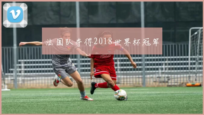 法国队夺得2018世界杯冠军
