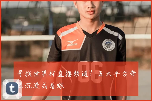 寻找世界杯直播频道？五大平台带你沉浸式看球
