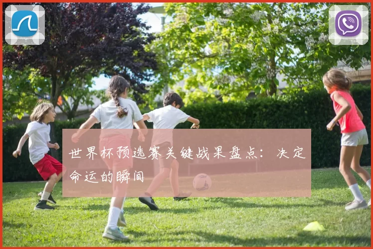 世界杯预选赛关键战果盘点：决定命运的瞬间