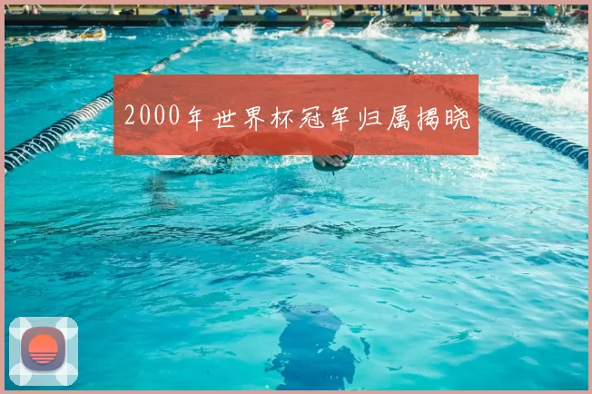 2000年世界杯冠军归属揭晓