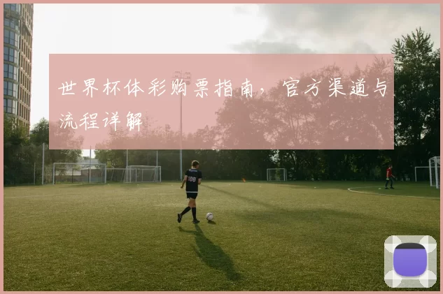 世界杯体彩购票指南,官方渠道与流程详解