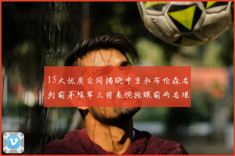 15大优质合同揭晓申京和布伦森名列前茅绿军三将表现抢眼前两名堪称传奇