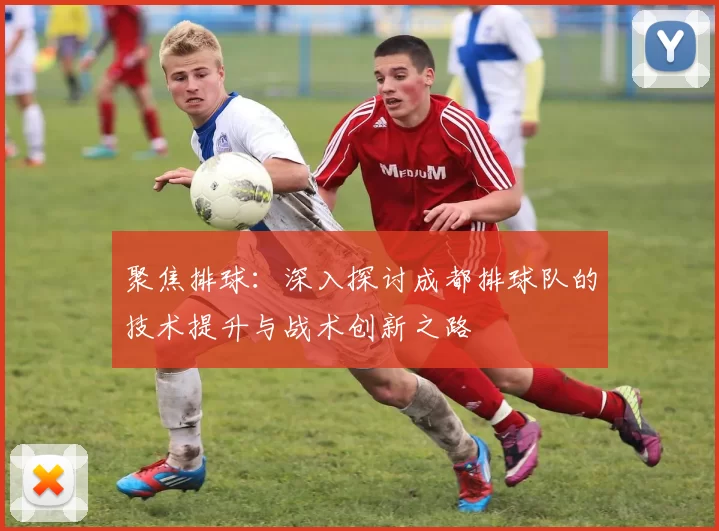 聚焦排球:深入探讨成都排球队的技术提升与战术创新之路