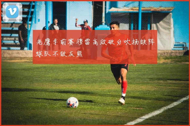 老鹰季前赛穆雷高效砍分吹杨缺阵球队不敌灰熊